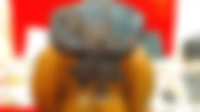 Bilik Sembang Langsung MelaninBear