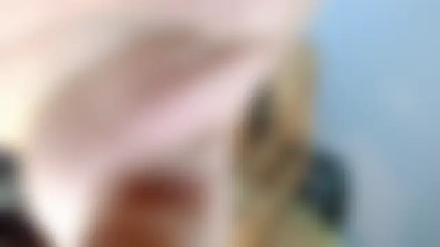 Bilik Sembang Langsung DaviidBuckx_