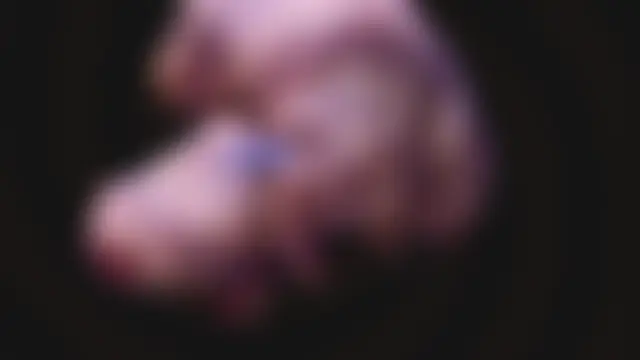 غرفة دردشة AphexQueen المباشرة