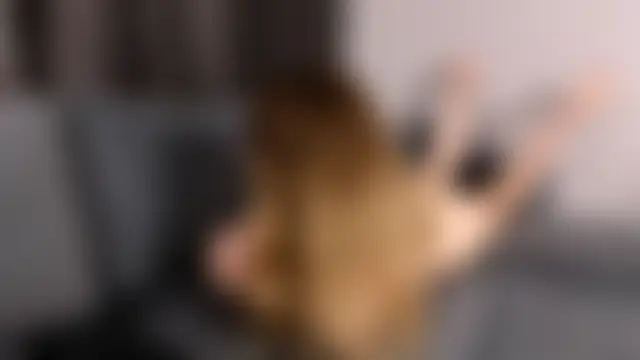 Živá chatovací místnost JeanaTownsend