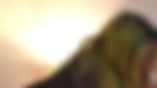 YaaraCollins 실시간 채팅방