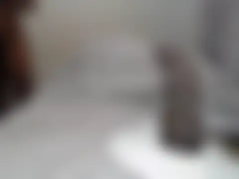 KinkyJXxX 웹캠 쇼