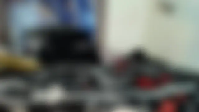 raven_robin_n Webbikameraesitys