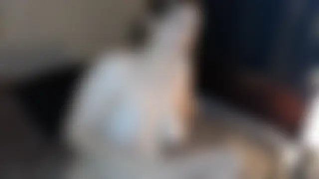 XxMidnightMysteryxX's Live XXX Chat