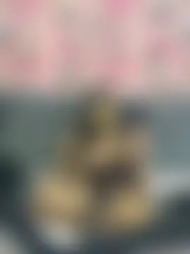 Ines-zn Webbikameraesitys