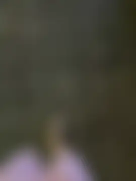 Meii-meyyn Webbikameraesitys
