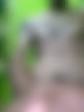Sala de chat ao vivo de jair20