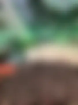 Pokój czatu na żywo – SuzyCatzz