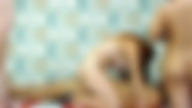 4SexFantasticn Webbikameraesitys