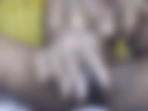 wild_kiten 即時聊天室