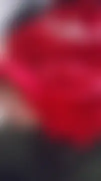 Онлайн чат XXCUTHULU23