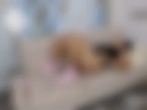 emilbrutalsex_mercilessly webkamerás műsora