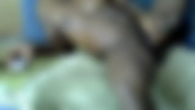 DickMatiser- Webcam-Show