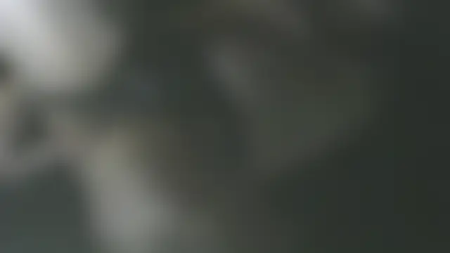 MeldingSociety webkamerás műsora