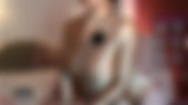 Živá chatovací místnost whitneyhot