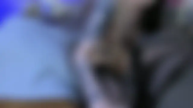 Naughty_Cherry Webcam-Show