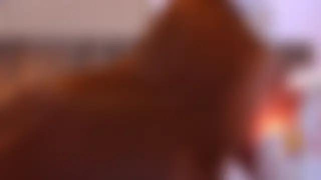 Chat +18 de SaraLugo ao vivo