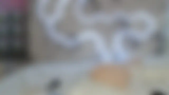 aliicemeow Live seks camshow