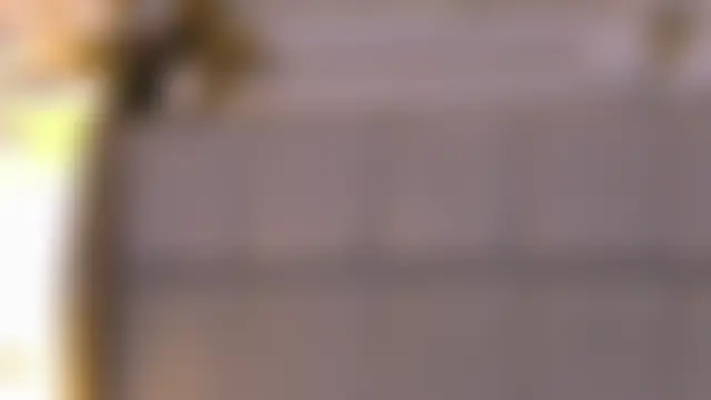 Chat XXX en directo de SerenaBennet
