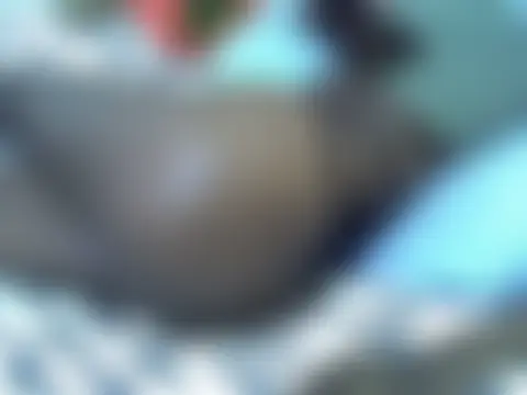 Show modela nolikhaya na web-kameri