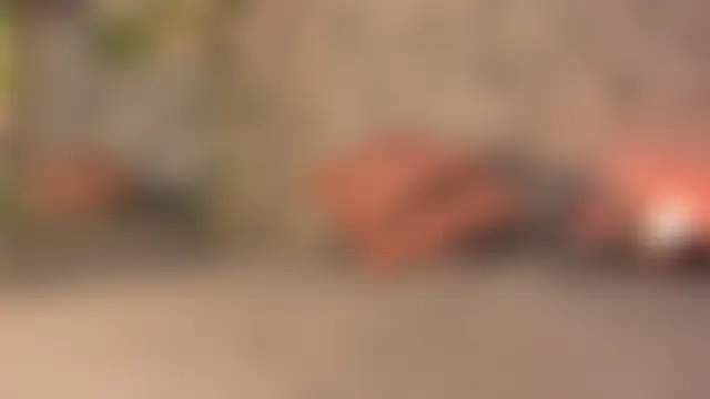Chat soba uživo modela Bella_desi_