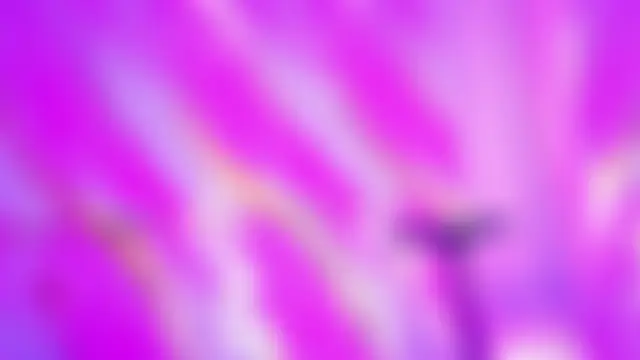 Alisson_Santiel লাইভ সেক্স ক্যাম শো
