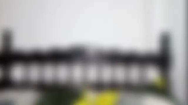 Andy_Roses Webcam show