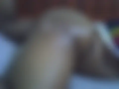 ebonyzoey 现场XXX聊天
