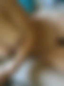 Sala de chat en directo de BellaMila