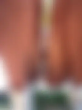 Sala de chat ao vivo de bellapaty