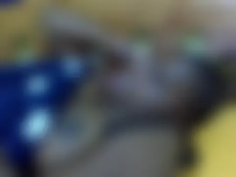 غرفة دردشة Roseroca33 المباشرة