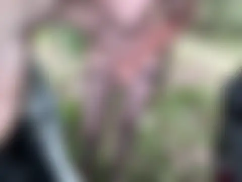 boybrl10 webcam show