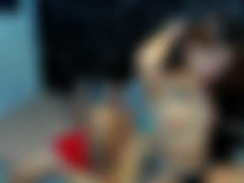 Show Webcam de hardcocktwink