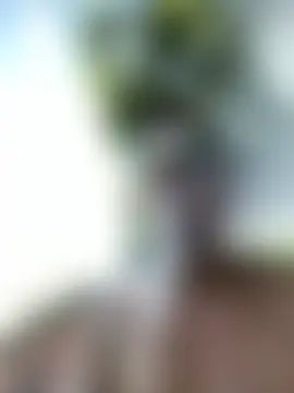 XXX chat uživo modela JockNThirsty