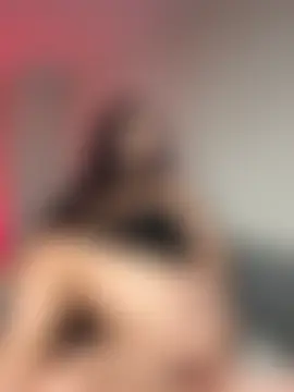 Samispank 라이브 XXX 채팅