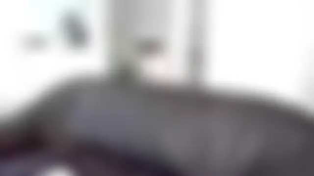 Silverhippo Webcam-Show