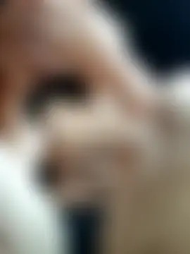 Sam-cute Cameră chat live