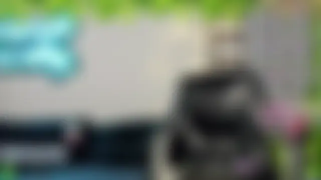 CherryBloom777 live-chat rom