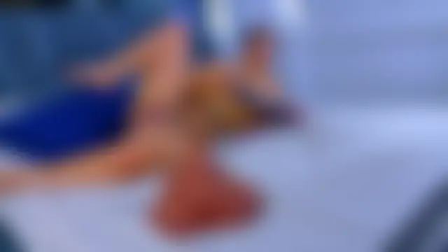 Samantha_Mont Ruang Obrolan Langsung
