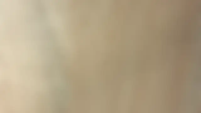 NoFace_Model's Live Chat Room