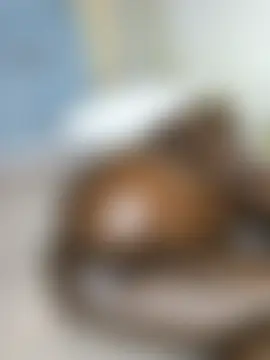 SquirtQueen16's Live XXX Chat