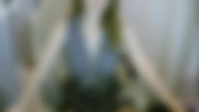 Bilik Sembang Langsung mari3999