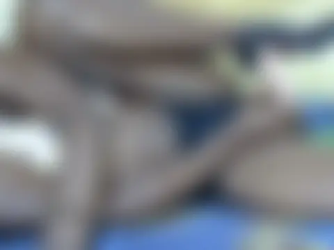 sweetcuteyのライブチャットルーム