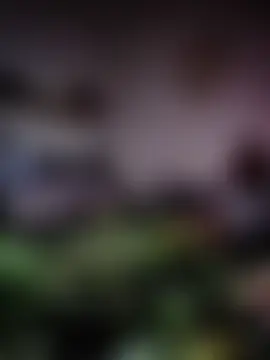 BBCountry1 – webcam-show