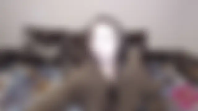 Chat +18 de Nika_Shiny ao vivo