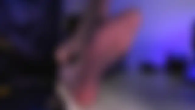 AphexQueen élő chatszobája