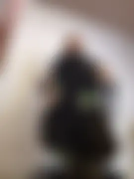 kattypinkkのライブチャットルーム