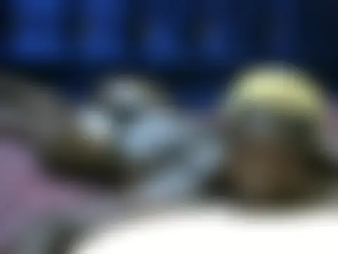 Webkamerová show sexxy_bigass001