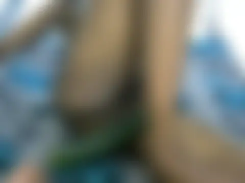 Sexxieshanty লাইভ চ্যাট রুম