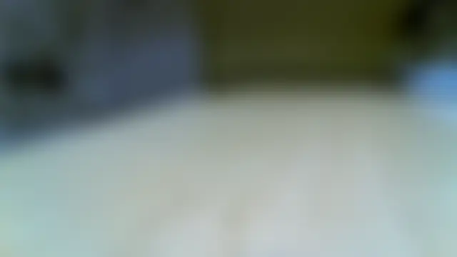 Show webcam de Klipparn